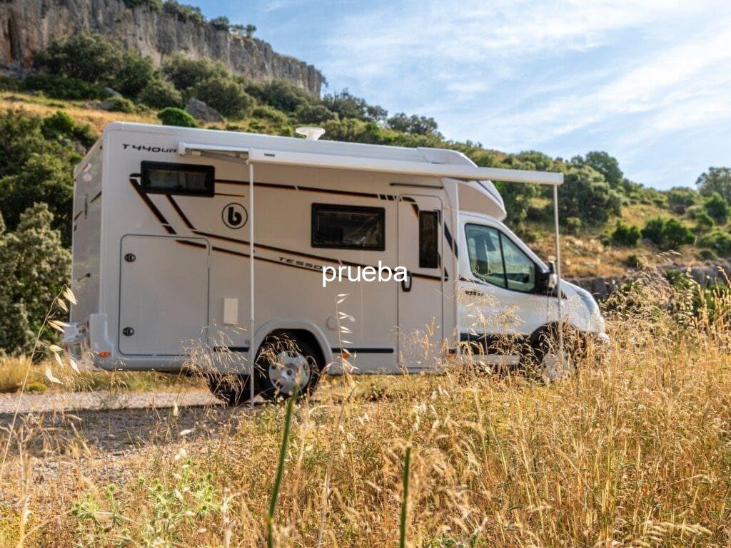 Foto 2 BENIMAR TESSORO 440 UP